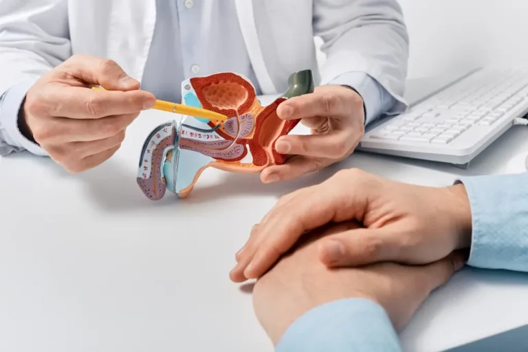 A physician points to the prostate on an anatomical model during a consultation with a patient.