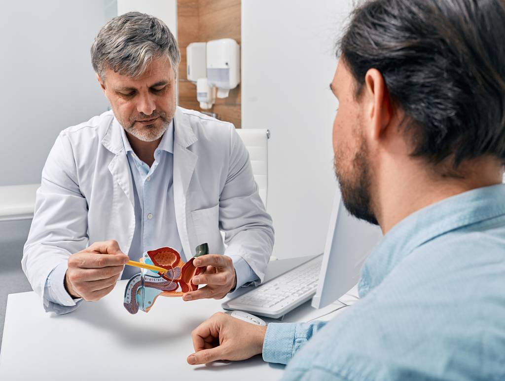 A physician explains the location of the prostate to a patient.
