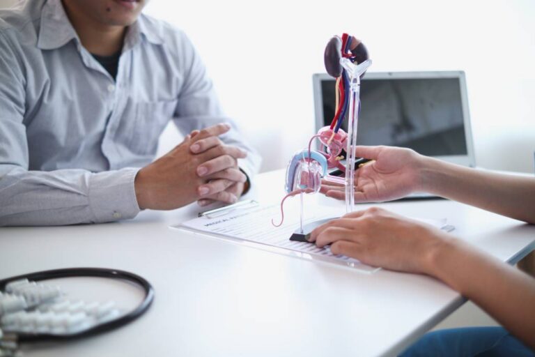 A physician uses an anatomical model in a discussion about prostate cancer with a patient.