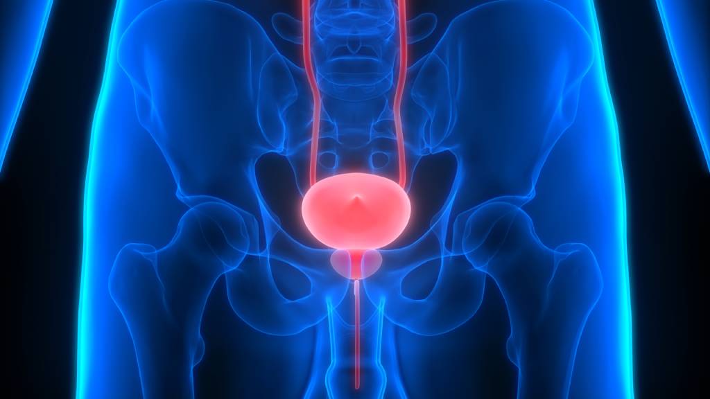 An illustration shows the location of the bladder, urethra, and prostate gland in the body.